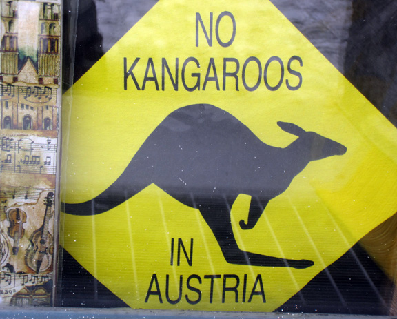 Kangaroos in Austria